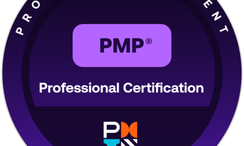 PMP 1:1 Mentoring & Exam Prep